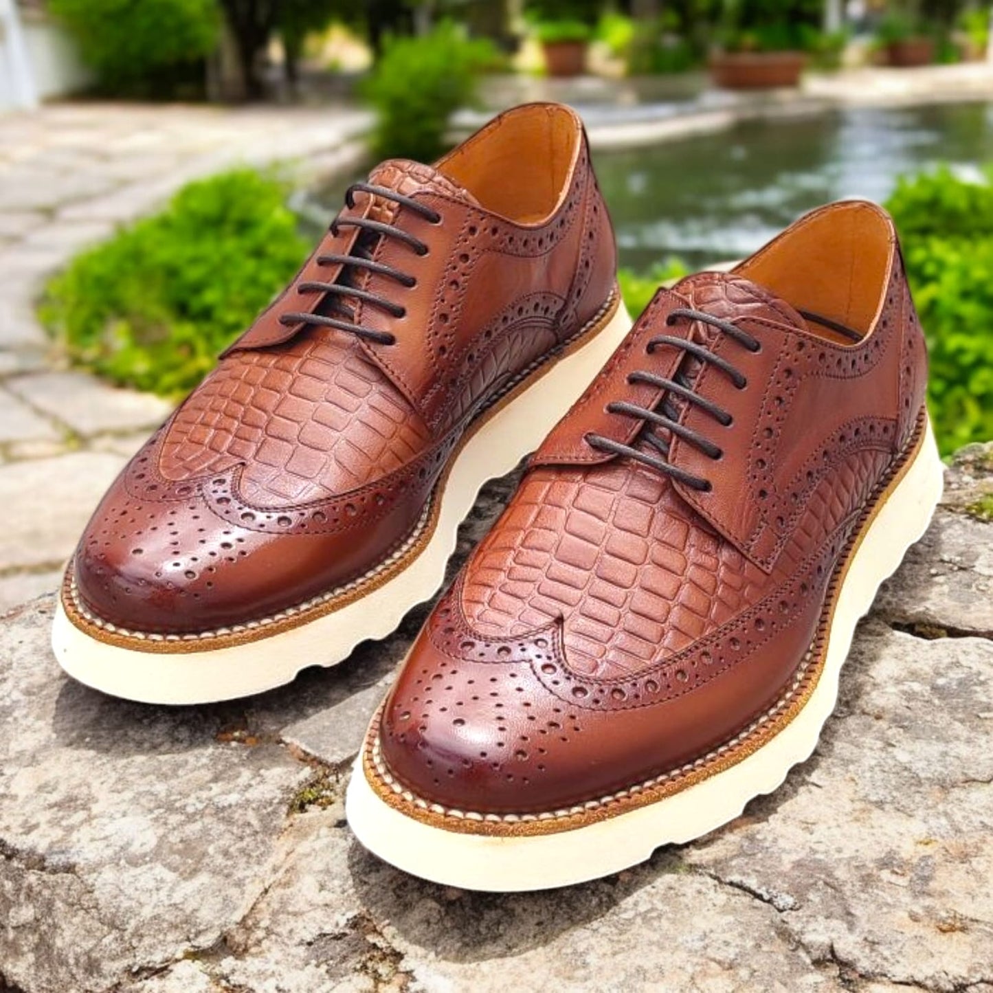Zapato Allan Poe